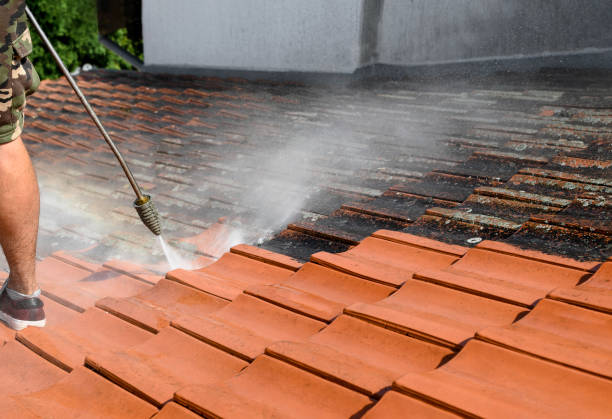 Professional Pressure Washing in Willow Grove, TX