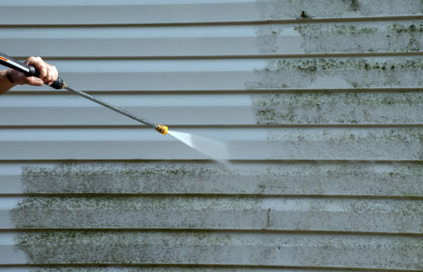 Best Concrete Pressure Washing  in Willow Grove, TX