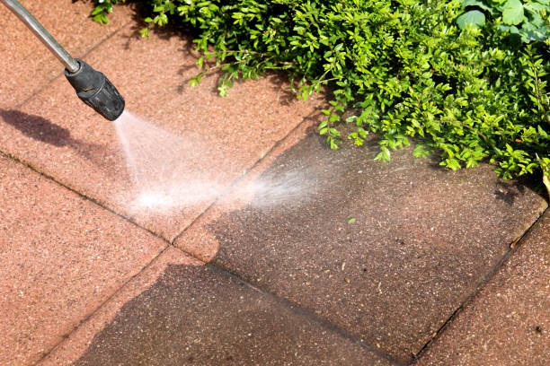 Best Best Pressure Washing Companies  in Willow Grove, TX
